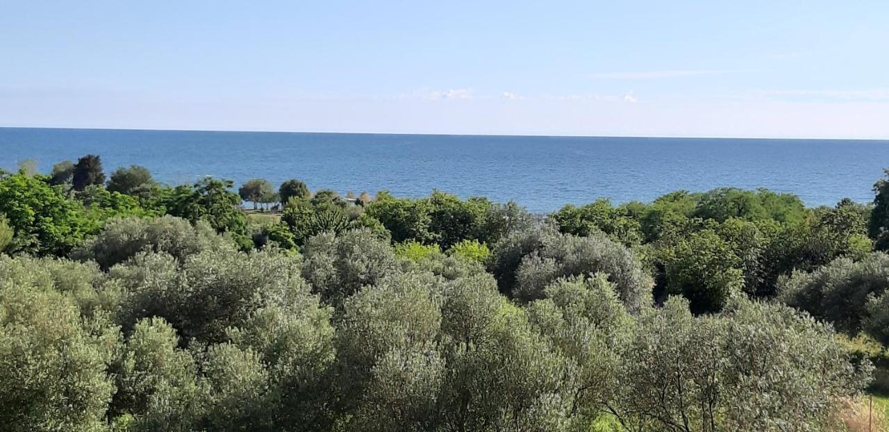 Apartment Istria Замбратия Экстерьер фото